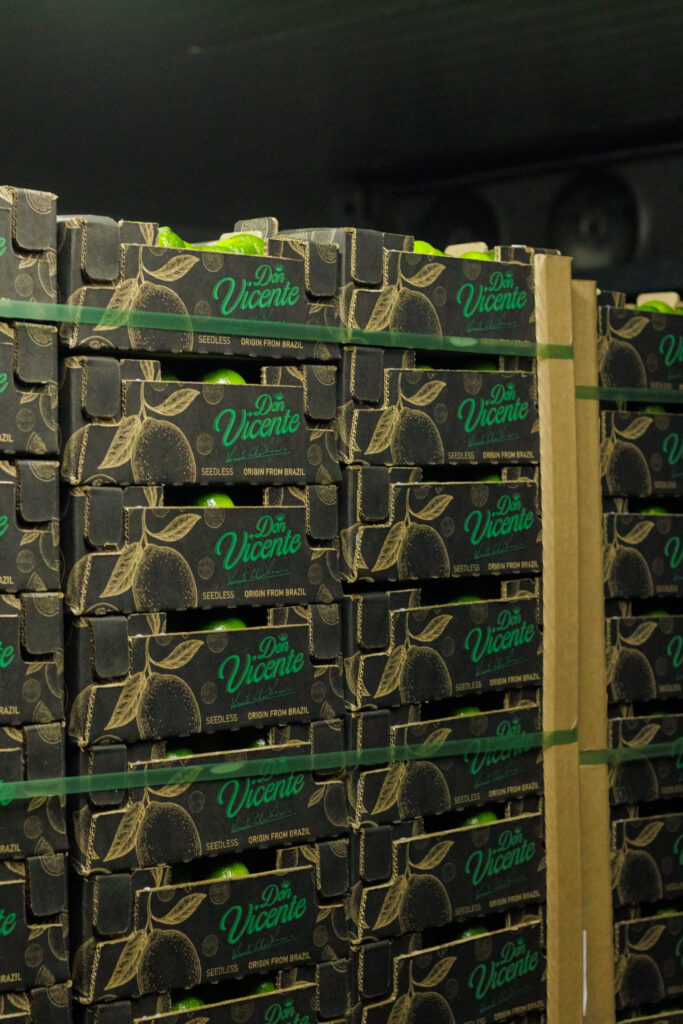Packaging and Transportation Conditions