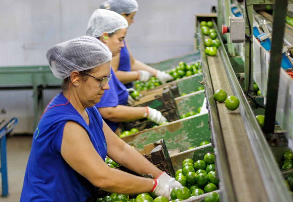 Lime export to international destinations