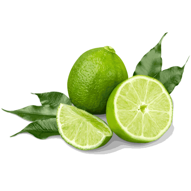 Fresh Tahiti lime - quality lime export